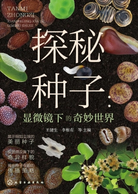 探秘种子：显微镜下的奇