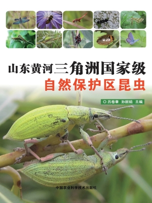 山东黄河三角洲国家级