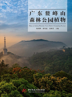 广东鳌峰山森林公园植