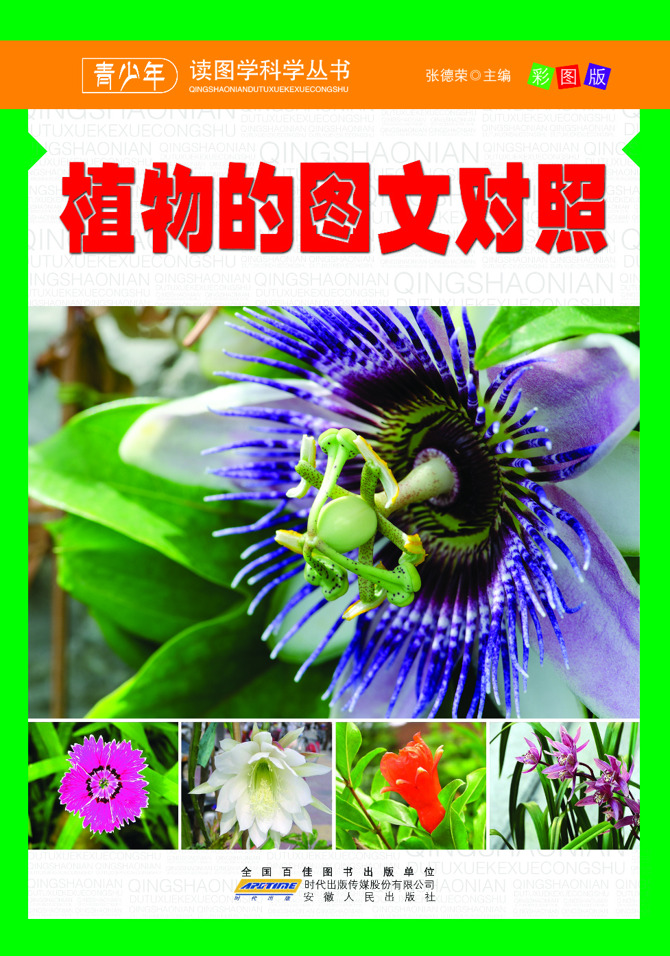 植物的图文对照