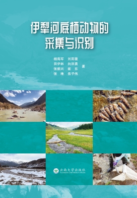 伊犁河底栖动物的采集