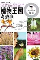 植物王国奇妙事