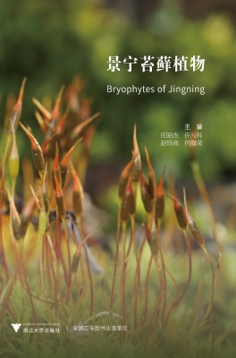 景宁苔藓植物
