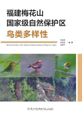 福建梅花山国家级自然