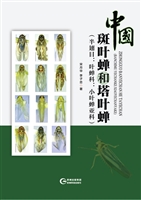 中国斑叶蝉和塔叶蝉（半