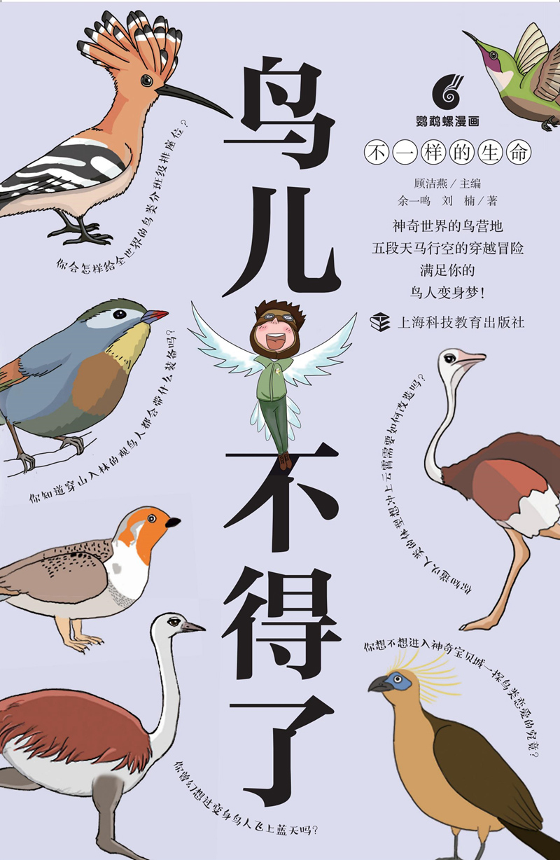 鸟儿不得了