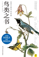 世界大师手绘经典鸟类