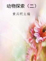 动物探索（二）