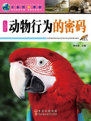 动物行为的密码