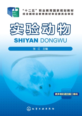 实验动物