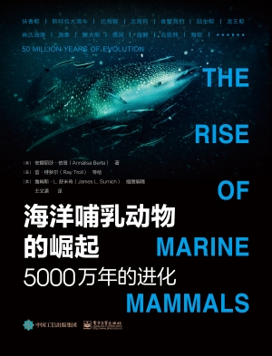 海洋哺乳动物的崛起—