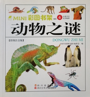 动物之谜（彩图注音版）
