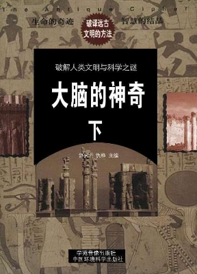 大脑的神奇（下）