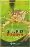 常见蜘蛛野外识别手册