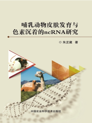 哺乳动物皮肤发育与色