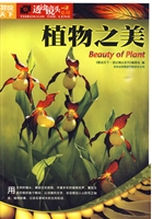 植物之美