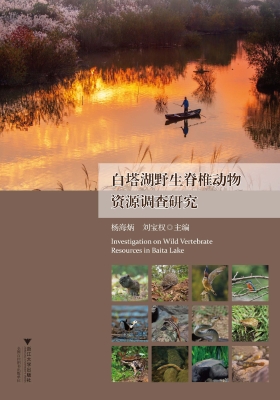 白塔湖野生脊椎动物资