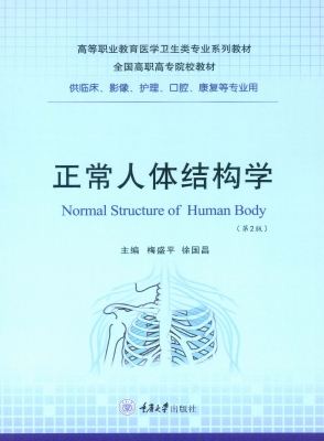 正常人体结构学