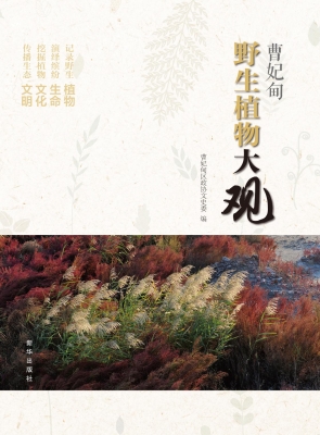 曹妃甸野生植物大观