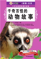 千奇百怪的动物故事