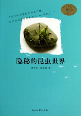 隐秘的昆虫世界