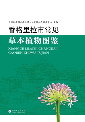 香格里拉市常见草本植