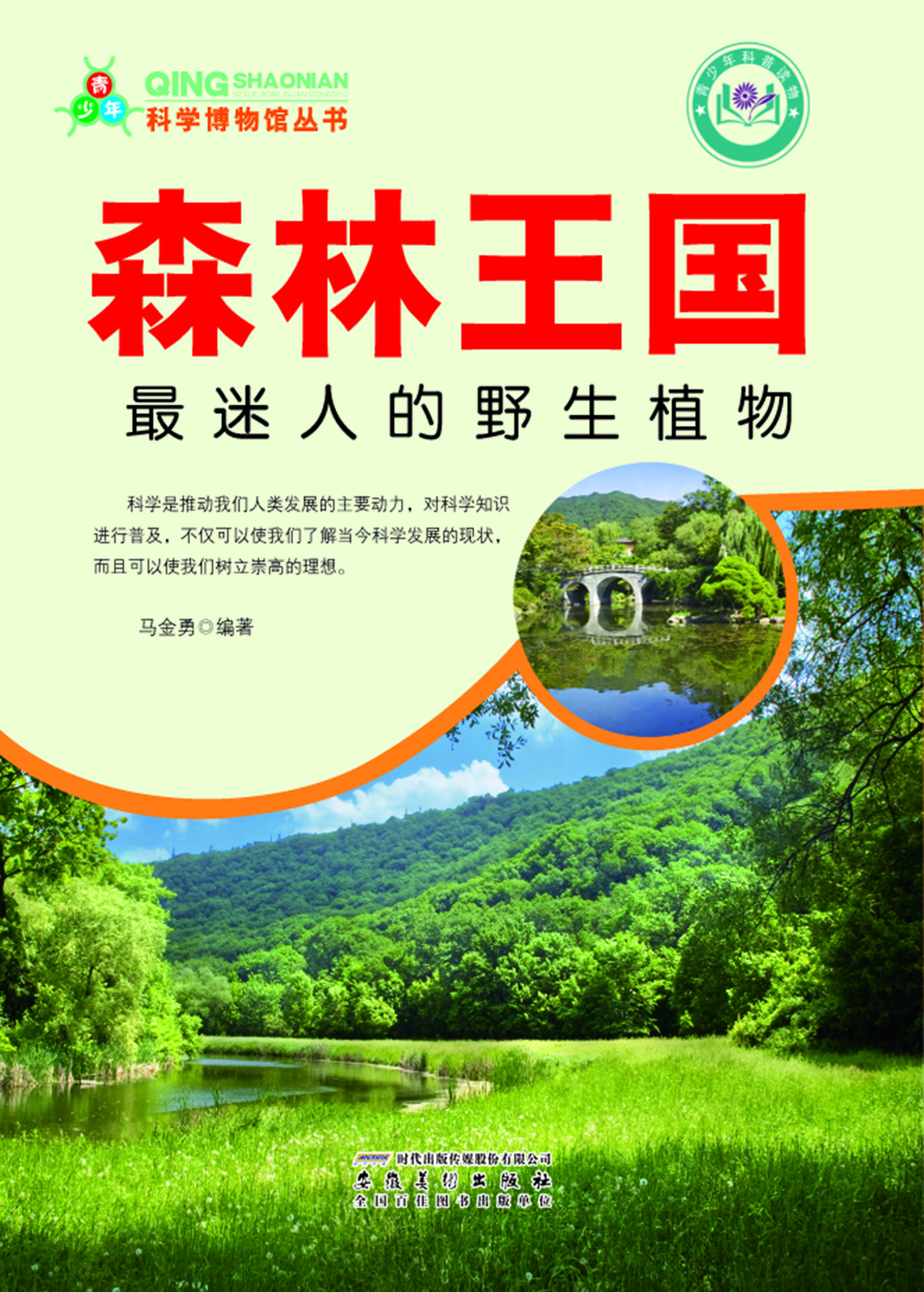 森林王国——最迷人的