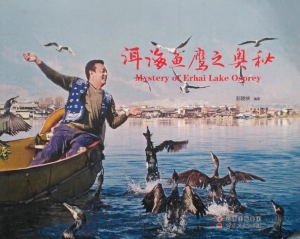 洱海鱼鹰之奥秘