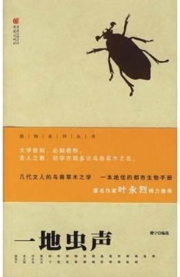 一地虫声