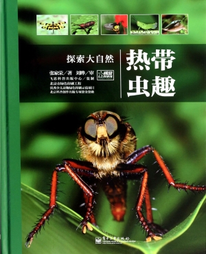热带虫趣