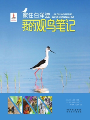 家住白洋淀——我的观