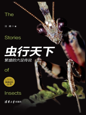 虫行天下——繁盛的六