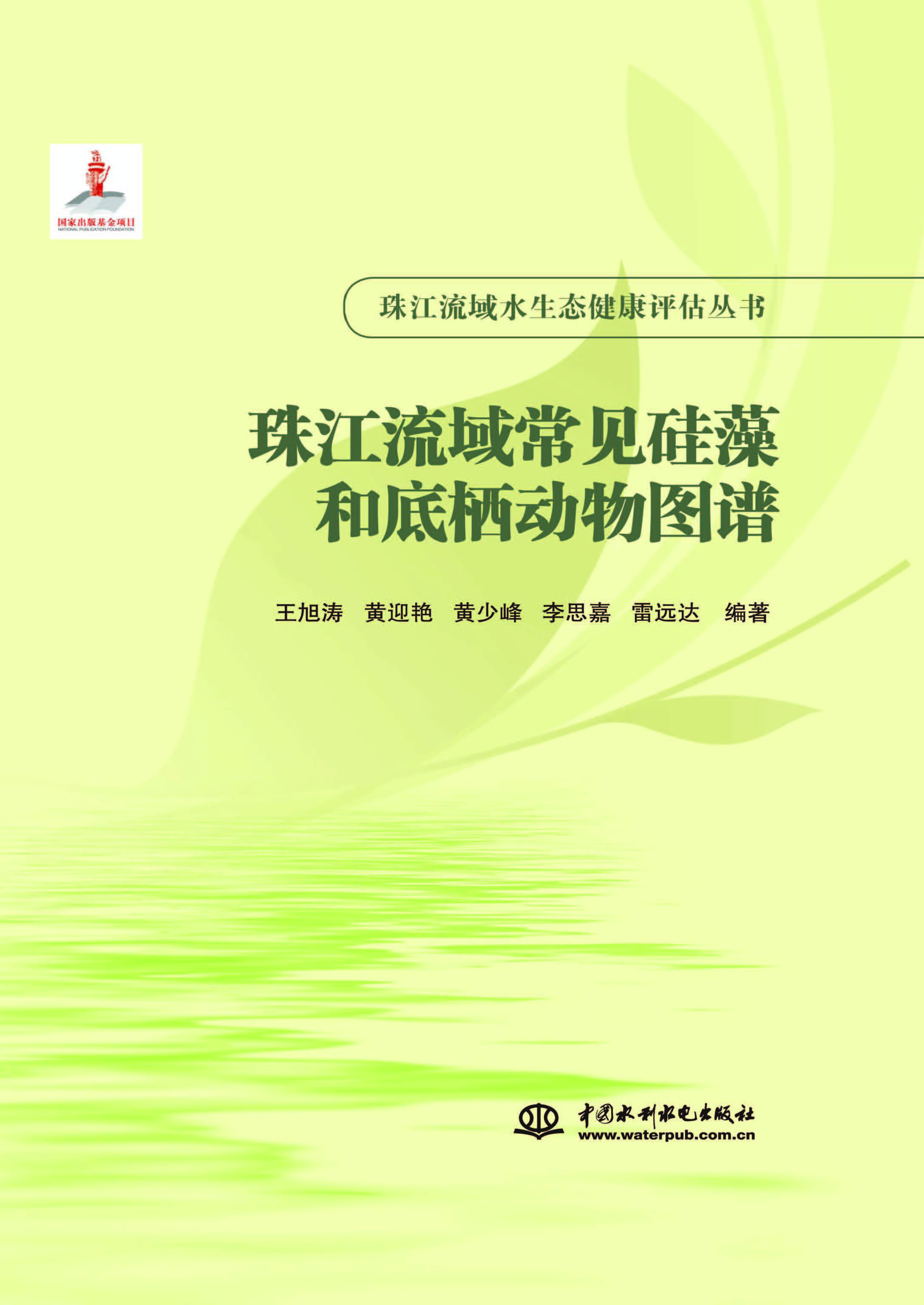 珠江流域常见硅藻和底