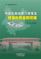 中国云南边境口岸常见