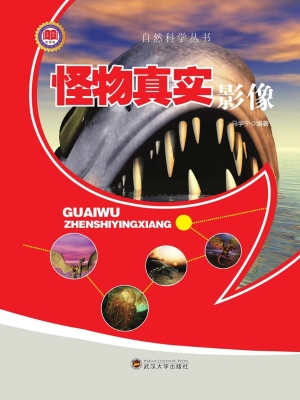 怪物真实影像