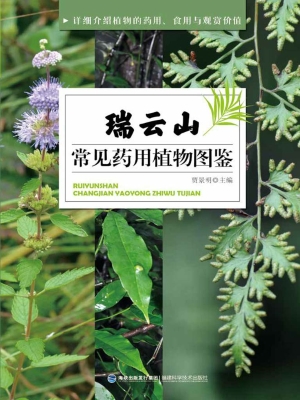 瑞云山常见药用植物图