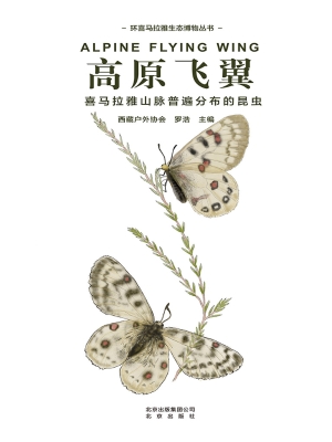 高原飞翼——喜马拉雅