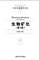 生物矿化