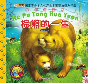 棕熊的一生