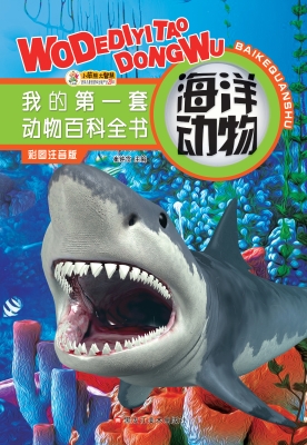 海洋动物
