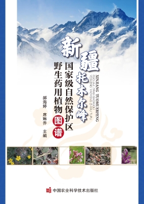 新疆托木尔峰国家级自