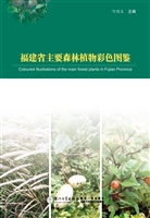 福建省主要森林植物彩