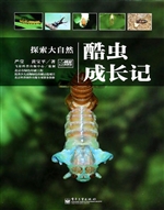 酷虫成长记