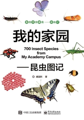 我的家园——昆虫图记