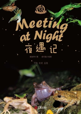 夜遇记