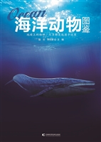 海洋动物图鉴
