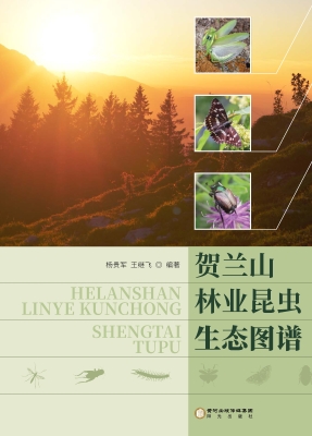 贺兰山林业昆虫生态图