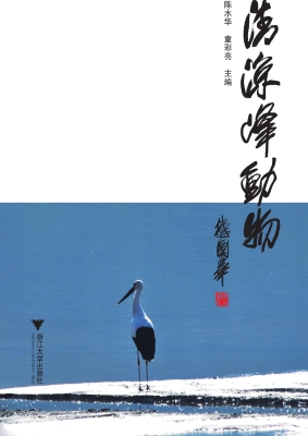清凉峰动物