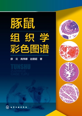 豚鼠组织学彩色图谱