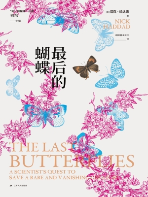 最后的蝴蝶